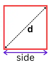 Circle Circumference